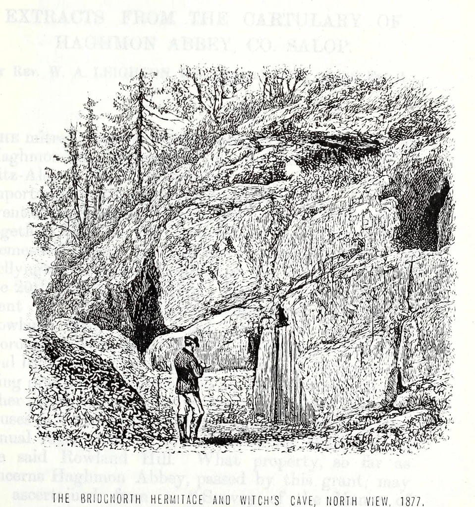 An illustration from Transactions of the Shropshire Archaeological and Natural History Society, 1878, leaf 398