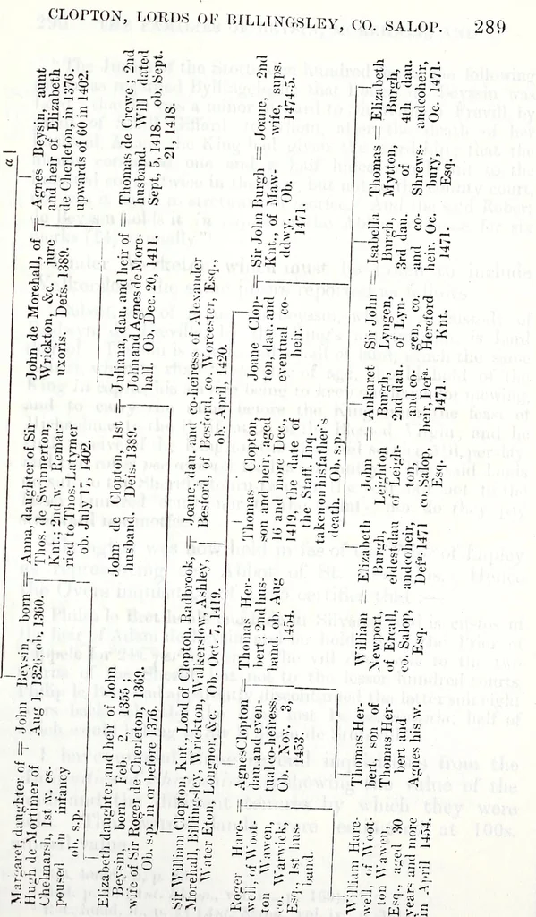 An illustration from Transactions of the Shropshire Archaeological and Natural History Society, 1878, leaf 632