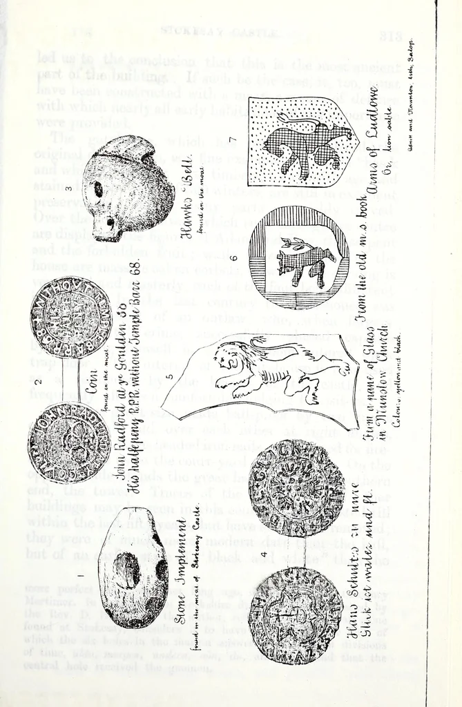 An illustration from Transactions of the Shropshire Archaeological and Natural History Society, 1878, leaf 684