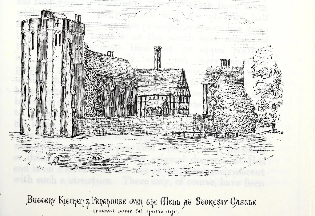 An illustration from Transactions of the Shropshire Archaeological and Natural History Society, 1878, leaf 690