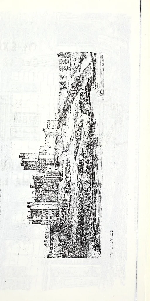 An illustration from Transactions of the Shropshire Archaeological and Natural History Society, 1878, leaf 730