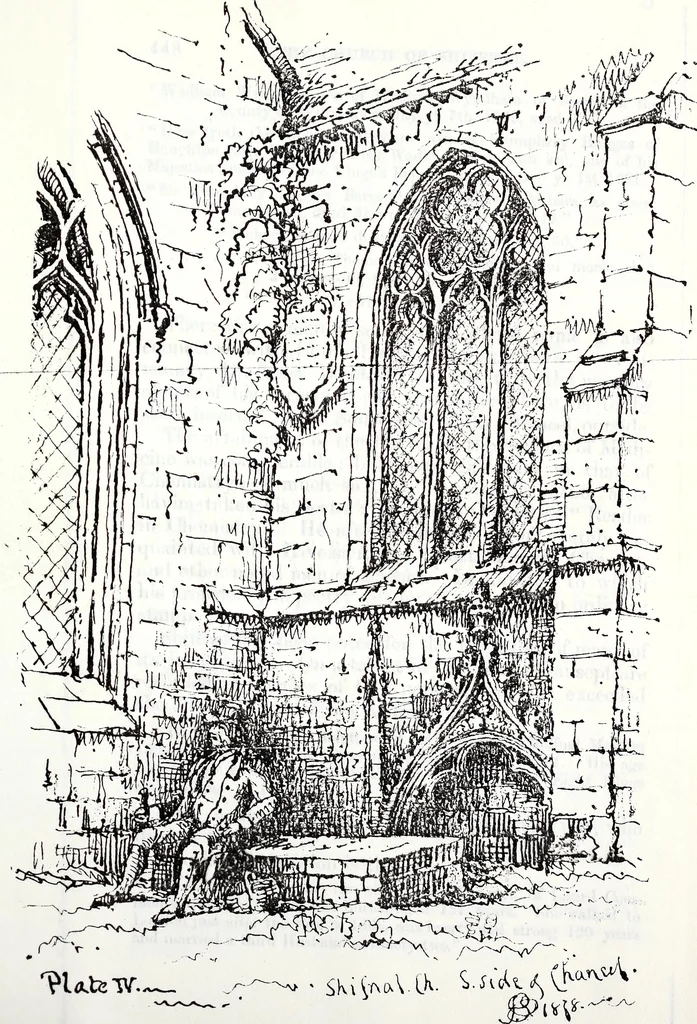 An illustration from Transactions of the Shropshire Archaeological and Natural History Society, 1878, leaf 978