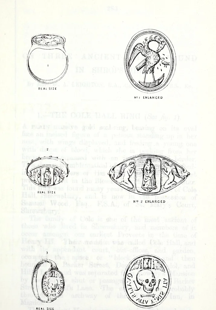 An illustration from Transactions of the Shropshire Archaeological and Natural History Society, 1879, leaf 606