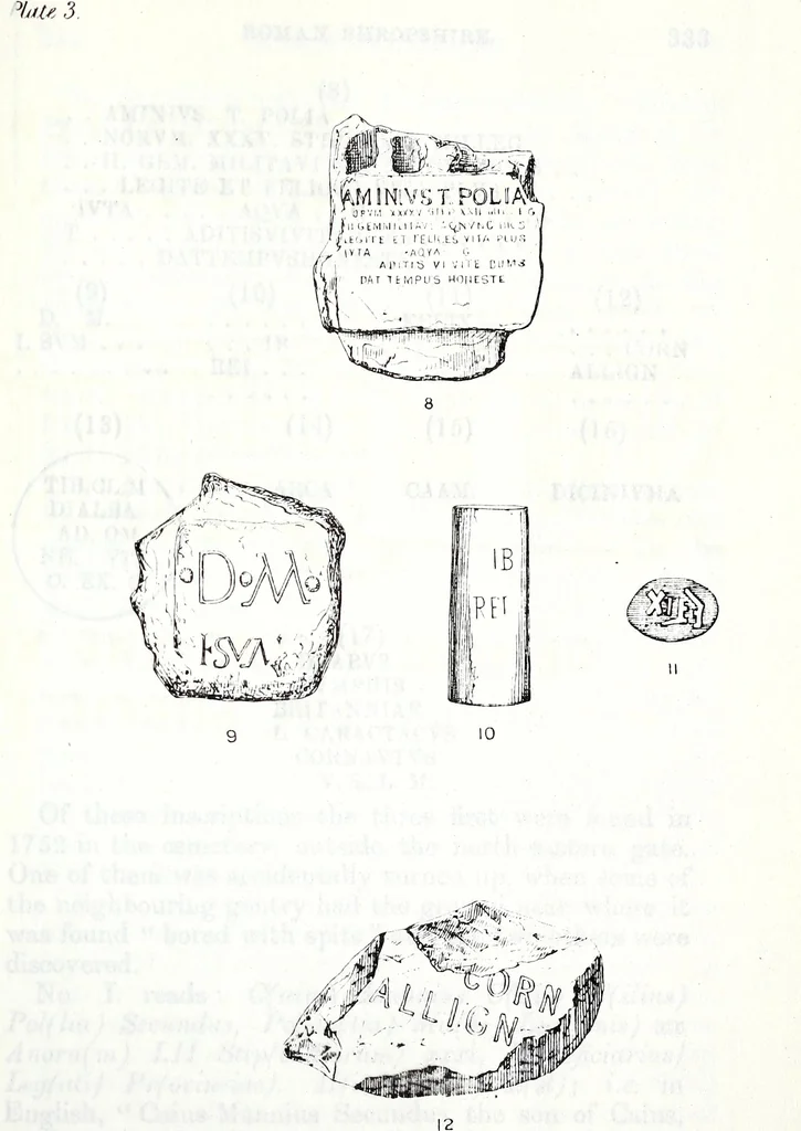An illustration from Transactions of the Shropshire Archaeological and Natural History Society, 1879, leaf 716