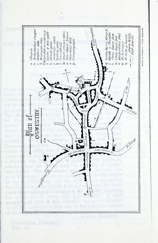 An illustration from Transactions of the Shropshire Archaeological and Natural History Society, 1884, leaf 140