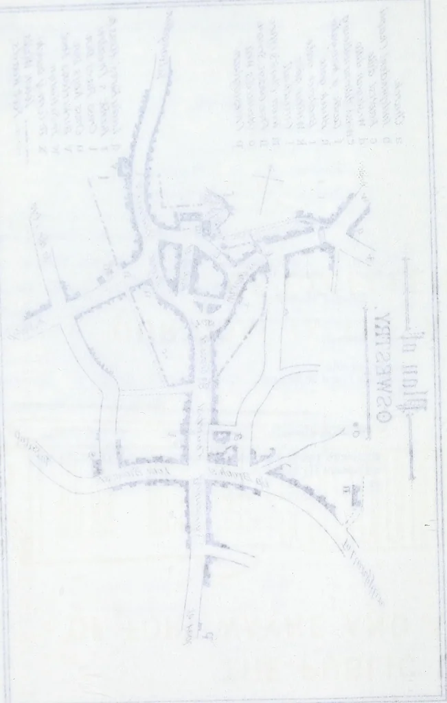 An illustration from Transactions of the Shropshire Archaeological and Natural History Society, 1884, leaf 141