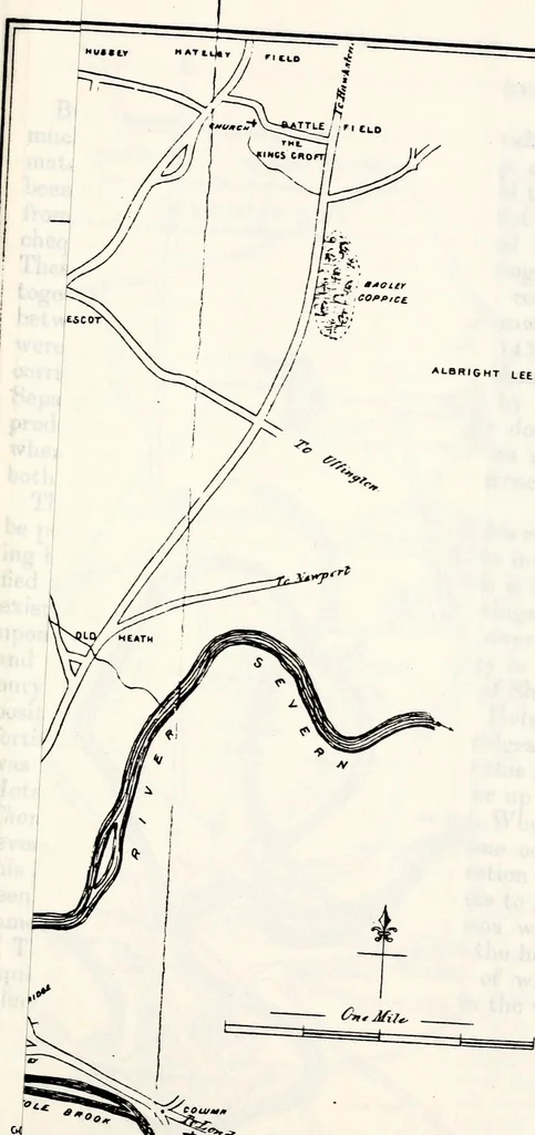 An illustration from Transactions of the Shropshire Archaeological and Natural History Society, 1878, leaf 154