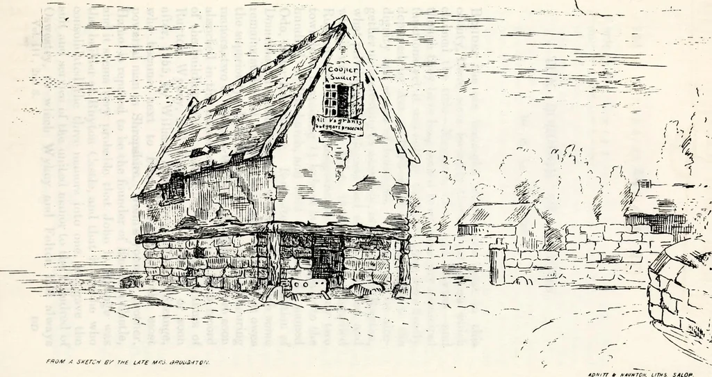An illustration from Transactions of the Shropshire Archaeological and Natural History Society, 1878, leaf 540