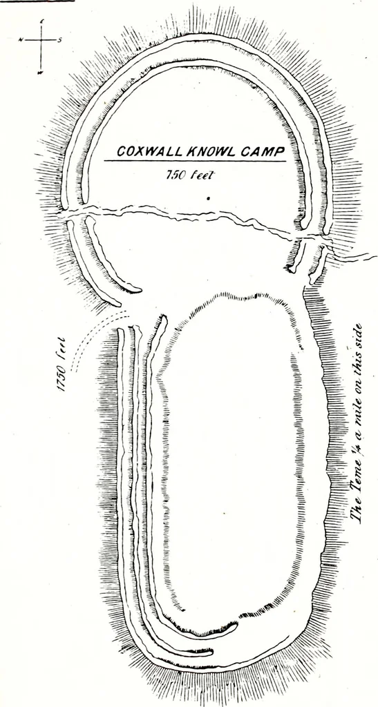 An illustration from Transactions of the Shropshire Archaeological and Natural History Society, 1878, leaf 92