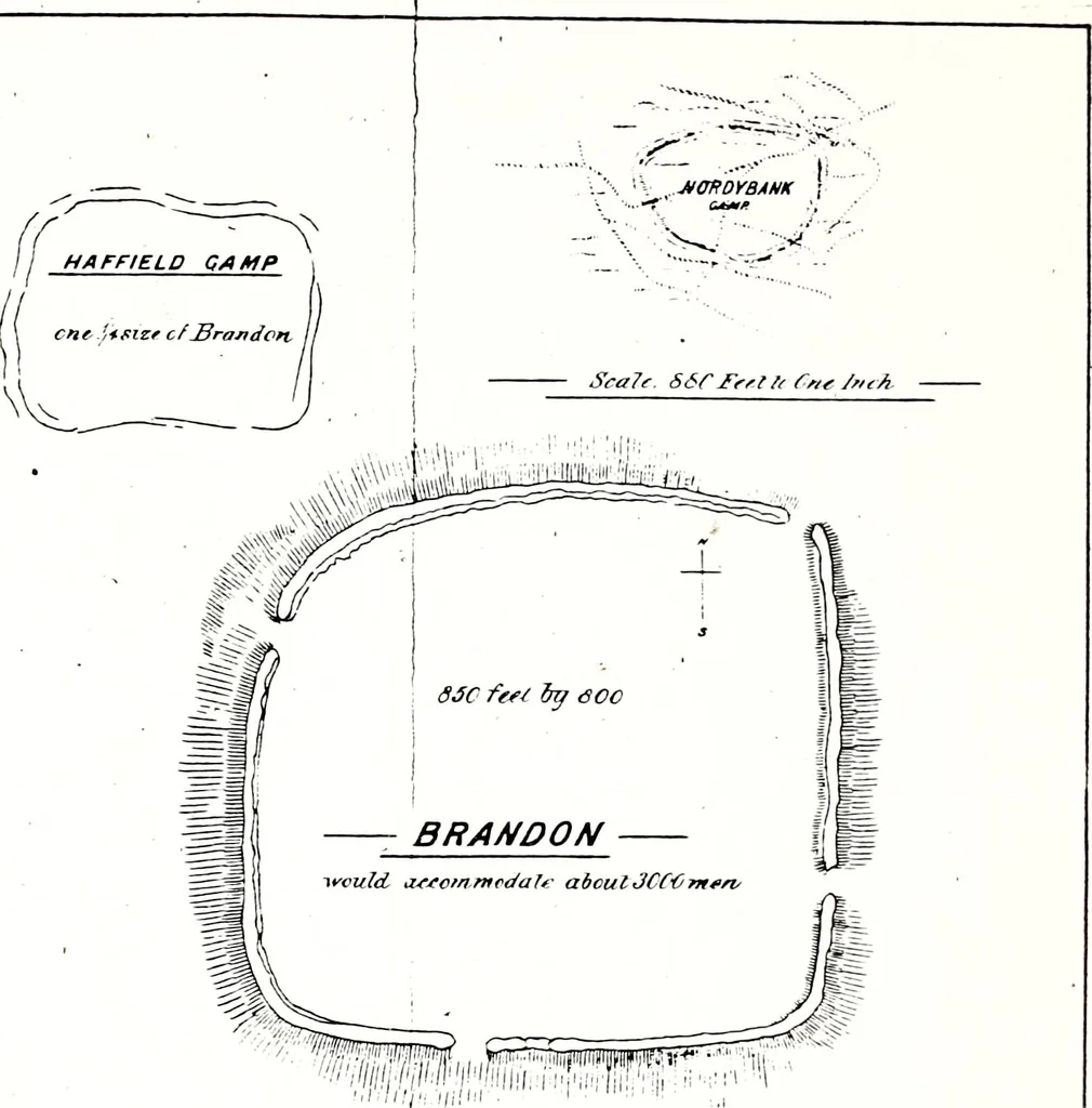 An illustration from Transactions of the Shropshire Archaeological and Natural History Society, 1878, leaf 92