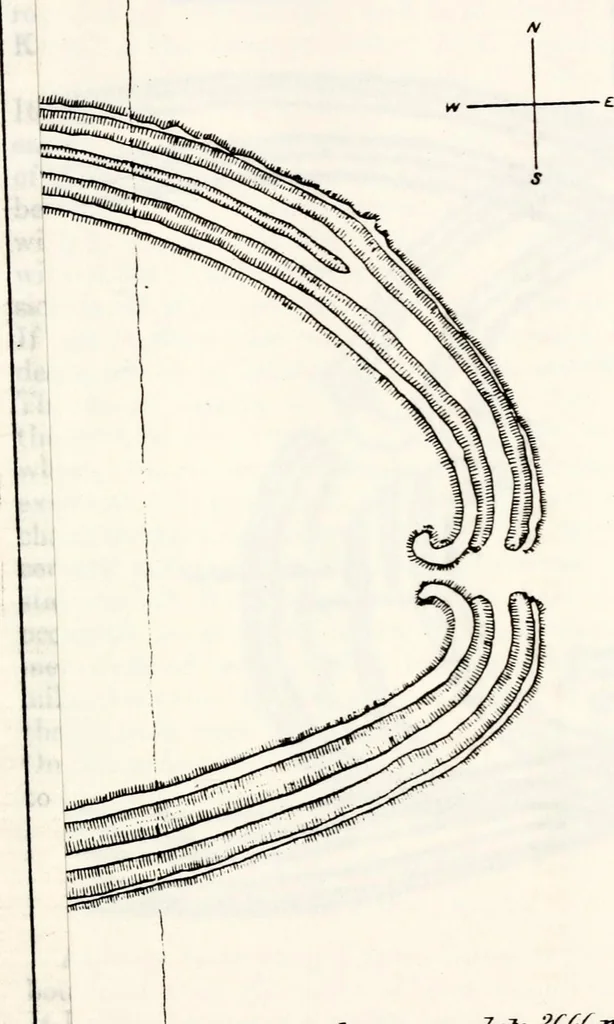 An illustration from Transactions of the Shropshire Archaeological and Natural History Society, 1878, leaf 94