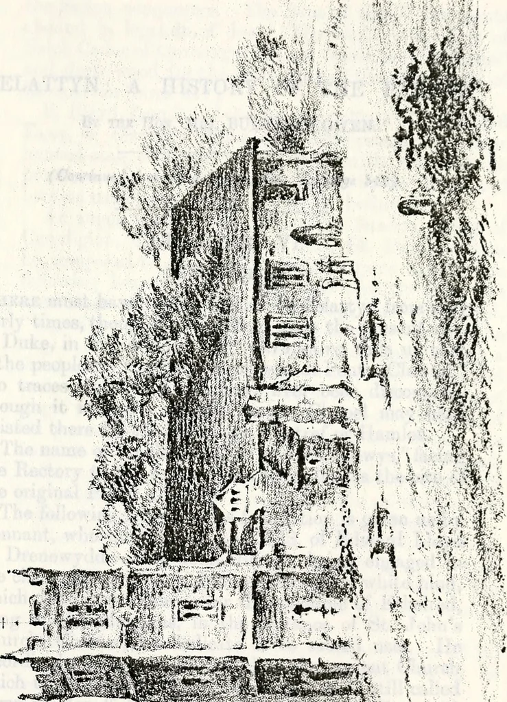 An illustration from Transactions of the Shropshire Archaeological and Natural History Society, 1878, leaf 226