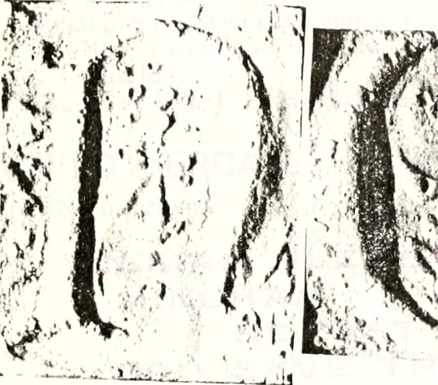 An illustration from Transactions of the Shropshire Archaeological and Natural History Society, 1878, leaf 126