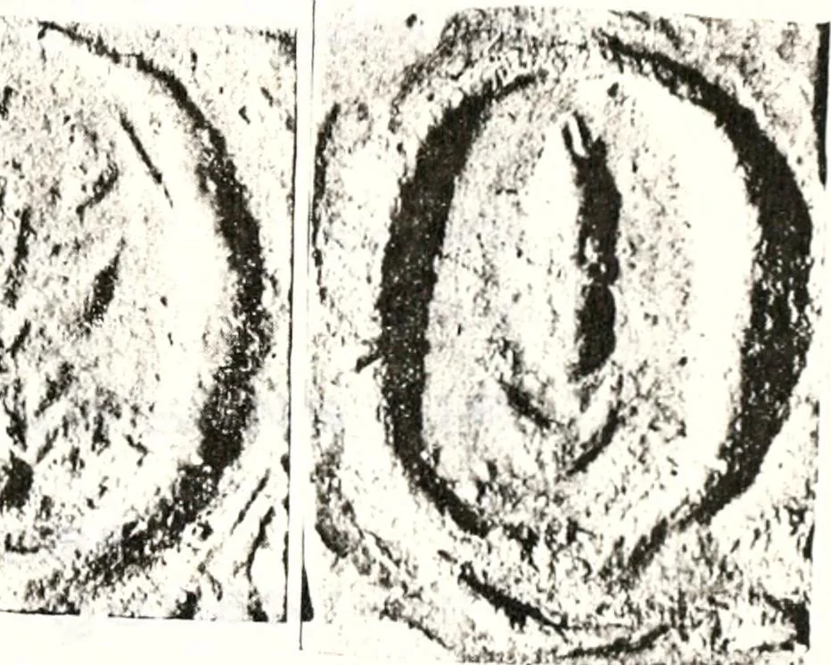 An illustration from Transactions of the Shropshire Archaeological and Natural History Society, 1878, leaf 126