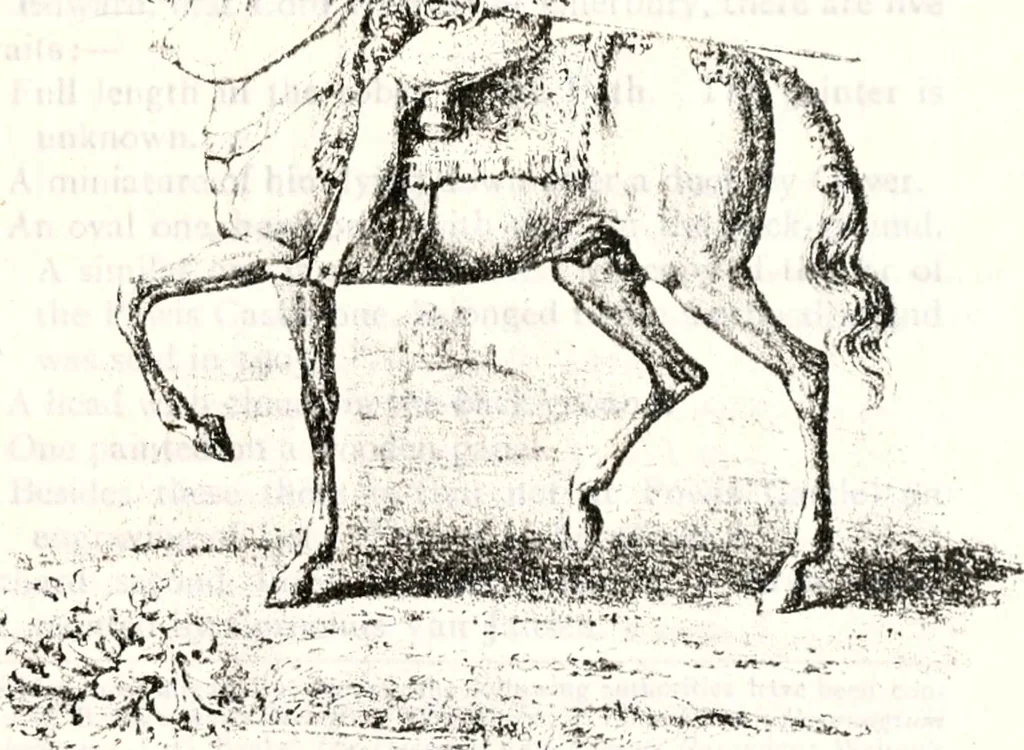 An illustration from Transactions of the Shropshire Archaeological and Natural History Society, 1878, leaf 212