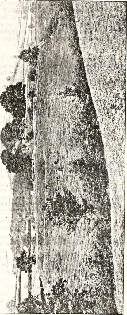 An illustration from Transactions of the Shropshire Archaeological and Natural History Society, 1878, leaf 34