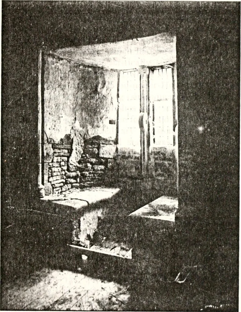 An illustration from Transactions of the Shropshire Archaeological and Natural History Society, 1878, leaf 358