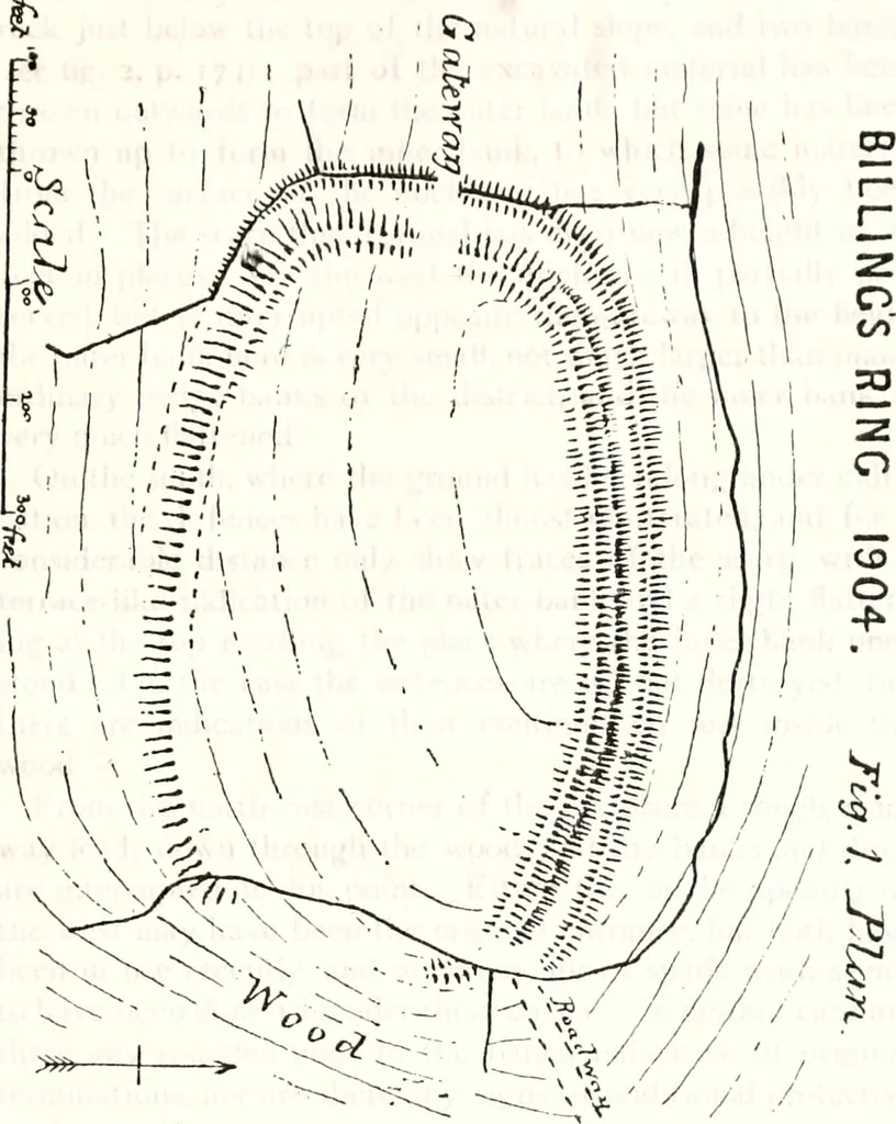 An illustration from Transactions of the Shropshire Archaeological and Natural History Society, 1878, leaf 474
