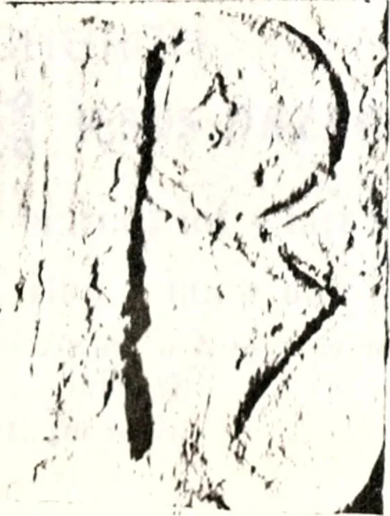 An illustration from Transactions of the Shropshire Archaeological and Natural History Society, 1878, leaf 72