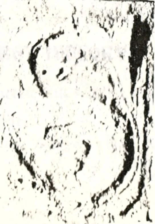 An illustration from Transactions of the Shropshire Archaeological and Natural History Society, 1878, leaf 72