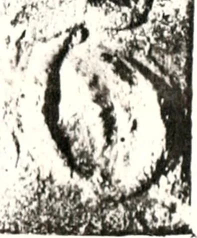 An illustration from Transactions of the Shropshire Archaeological and Natural History Society, 1878, leaf 78