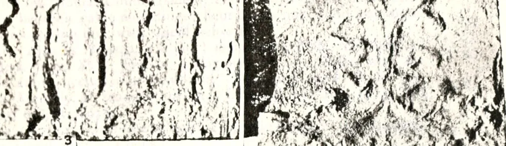 An illustration from Transactions of the Shropshire Archaeological and Natural History Society, 1878, leaf 78