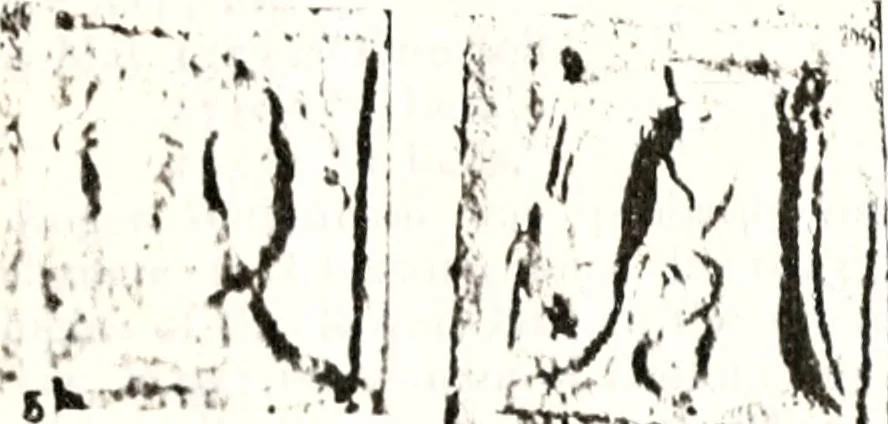 An illustration from Transactions of the Shropshire Archaeological and Natural History Society, 1878, leaf 96