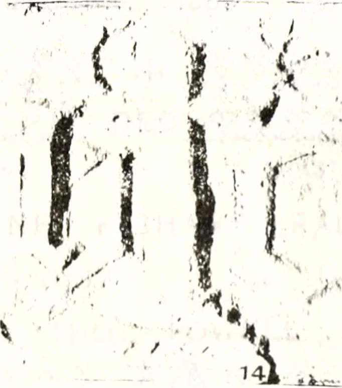 An illustration from Transactions of the Shropshire Archaeological and Natural History Society, 1878, leaf 96
