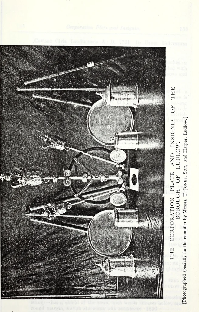 An illustration from Transactions of the Shropshire Archaeological and Natural History Society, 1898, leaf 1134