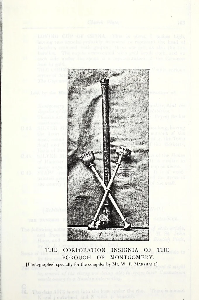 An illustration from Transactions of the Shropshire Archaeological and Natural History Society, 1898, leaf 1160