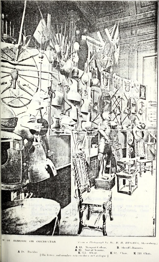 An illustration from Transactions of the Shropshire Archaeological and Natural History Society, 1898, leaf 814