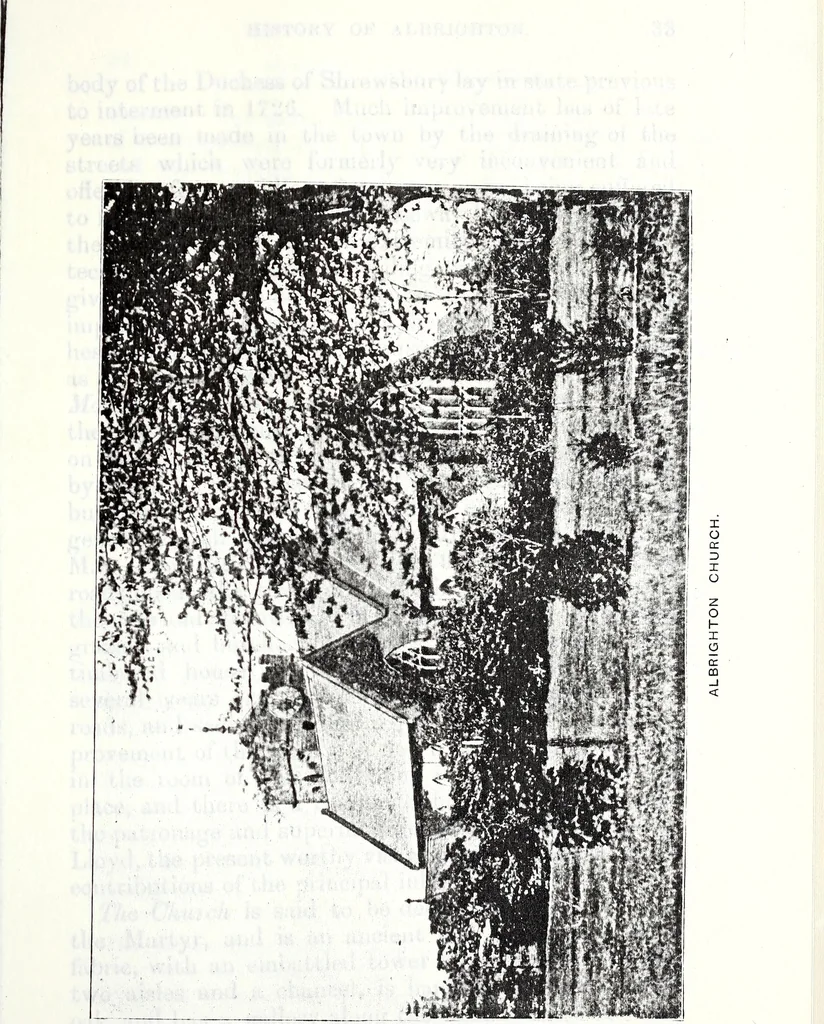 An illustration from Transactions of the Shropshire Archaeological and Natural History Society, 1899, leaf 128