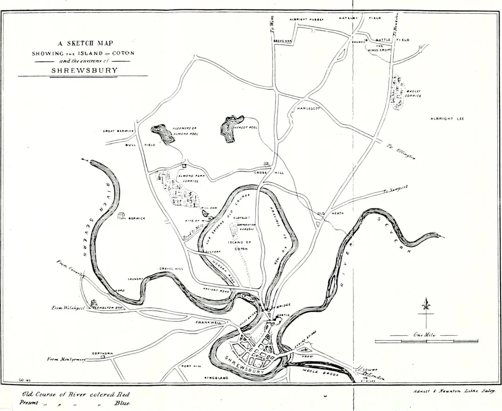An illustration from Transactions of the Shropshire Archaeological and Natural History Society, 1891, leaf 108