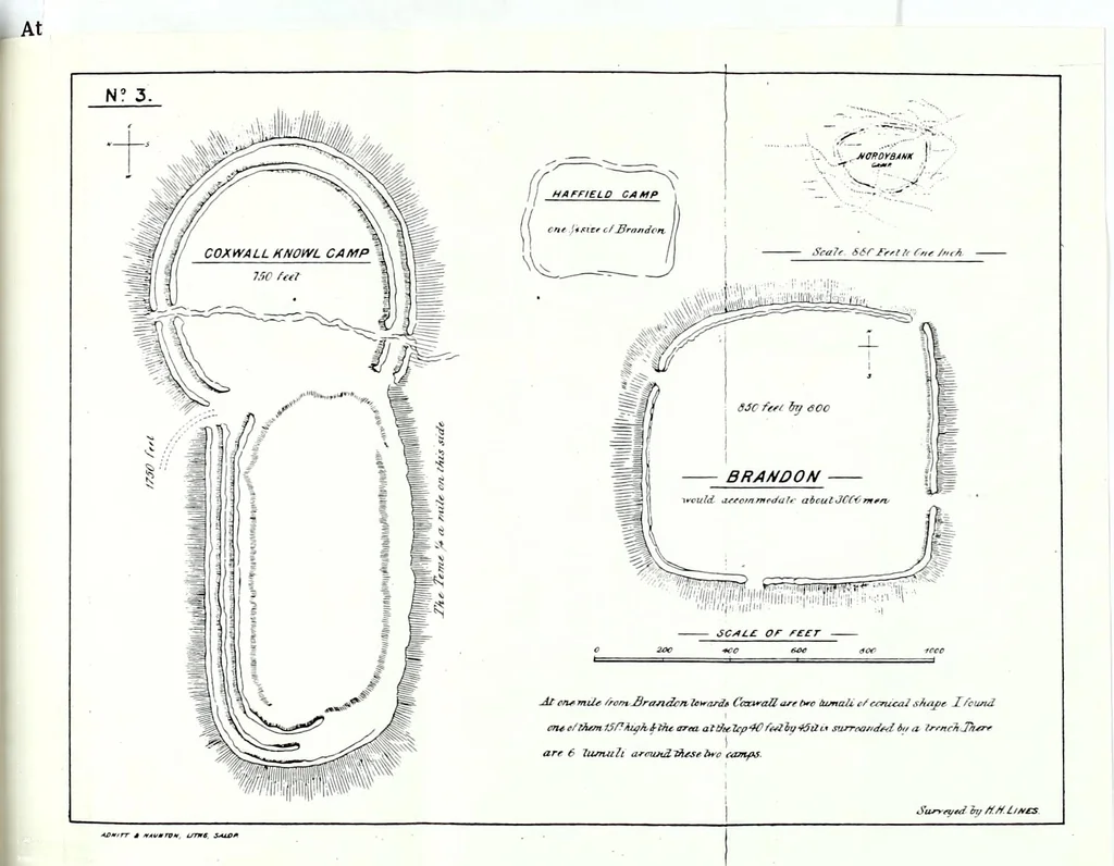 An illustration from Transactions of the Shropshire Archaeological and Natural History Society, 1891, leaf 82