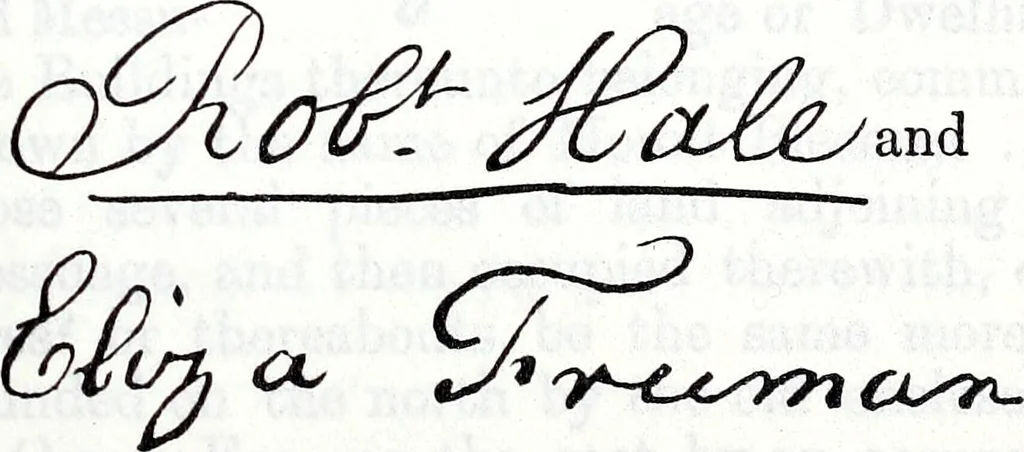 An illustration from Transactions of the Shropshire Archaeological and Natural History Society, 1893, leaf 718