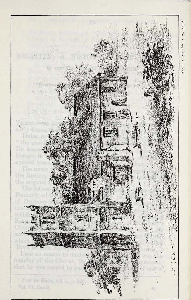 An illustration from Transactions of the Shropshire Archaeological and Natural History Society, 1894, leaf 226