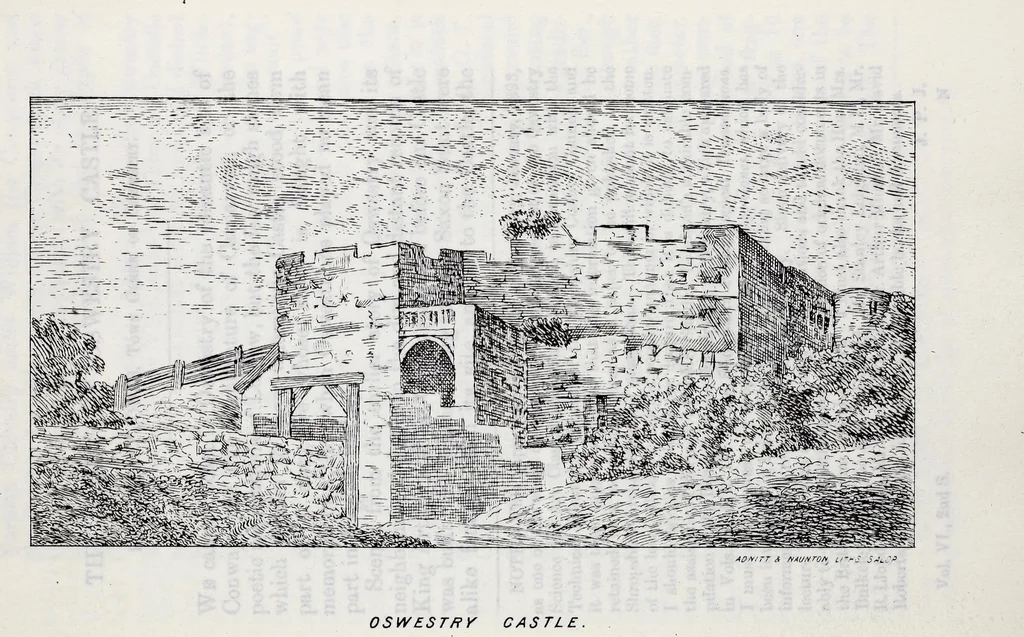 An illustration from Transactions of the Shropshire Archaeological and Natural History Society, 1894, leaf 284