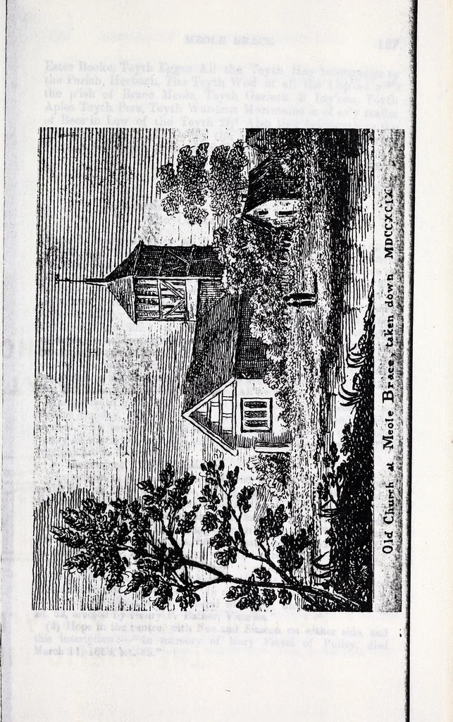 An illustration from Transactions of the Shropshire Archaeological and Natural History Society, 1896, leaf 312