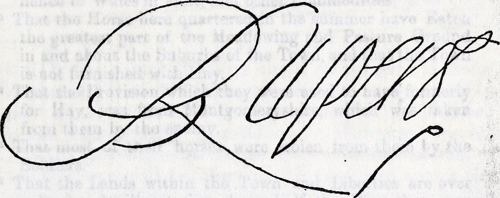 An illustration from Transactions of the Shropshire Archaeological and Natural History Society, 1896, leaf 548