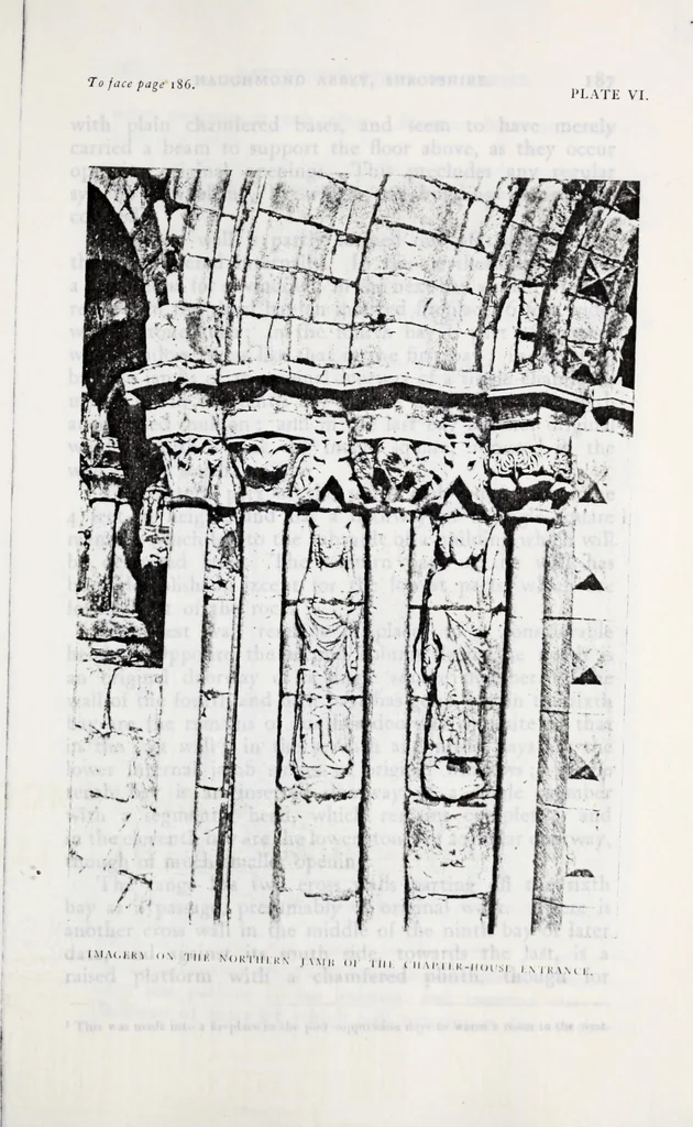 An illustration from Transactions of the Shropshire Archaeological and Natural History Society, 1910, leaf 436