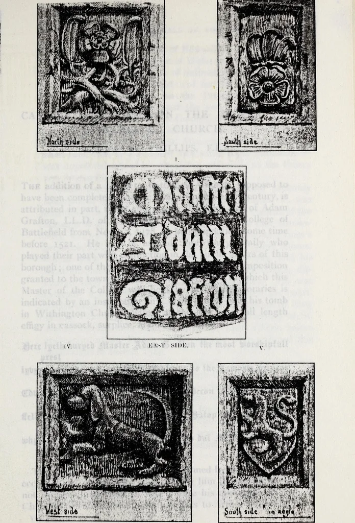 An illustration from Transactions of the Shropshire Archaeological and Natural History Society, 1903, leaf 590