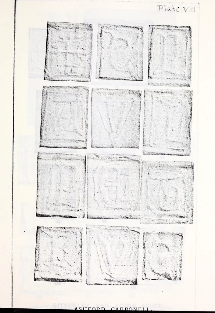 An illustration from Transactions of the Shropshire Archaeological and Natural History Society, 1904, leaf 186