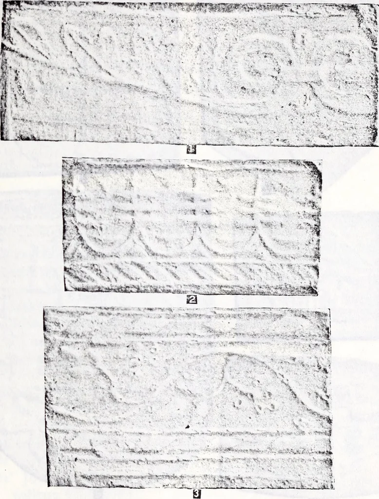 An illustration from Transactions of the Shropshire Archaeological and Natural History Society, 1904, leaf 194