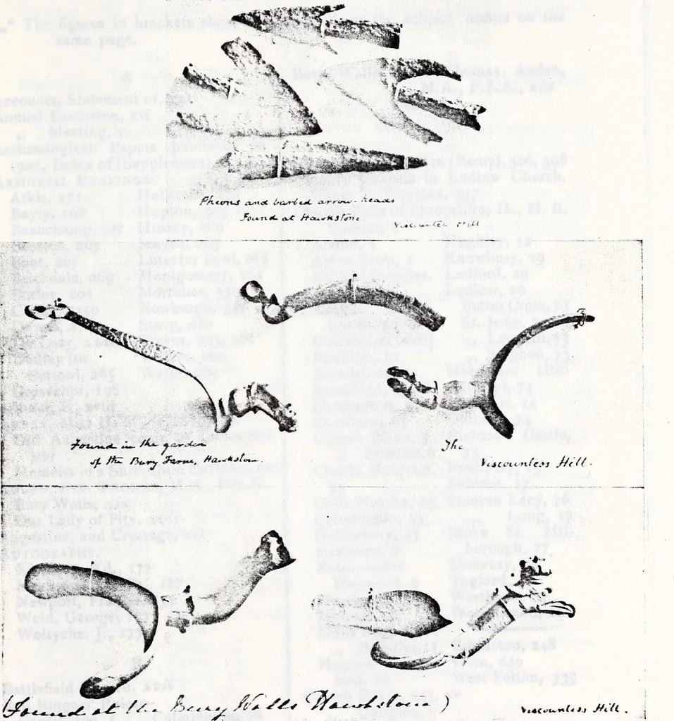 An illustration from Transactions of the Shropshire Archaeological and Natural History Society, 1904, leaf 916