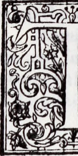 An illustration from Transactions of the Shropshire Archaeological and Natural History Society, 1905, leaf 664
