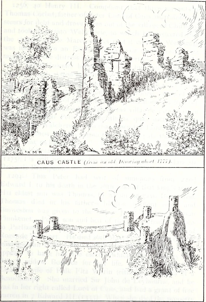 An illustration from Transactions of the Shropshire Archaeological and Natural History Society, 1906, leaf 242