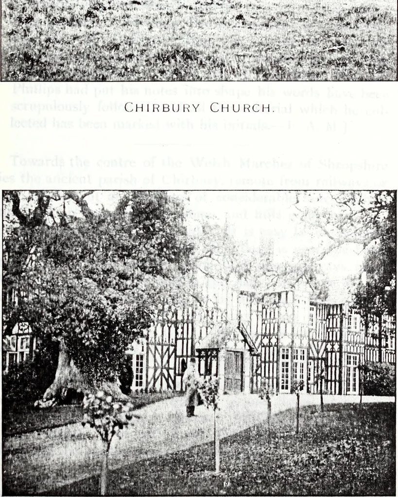An illustration from Transactions of the Shropshire Archaeological and Natural History Society, 1906, leaf 484