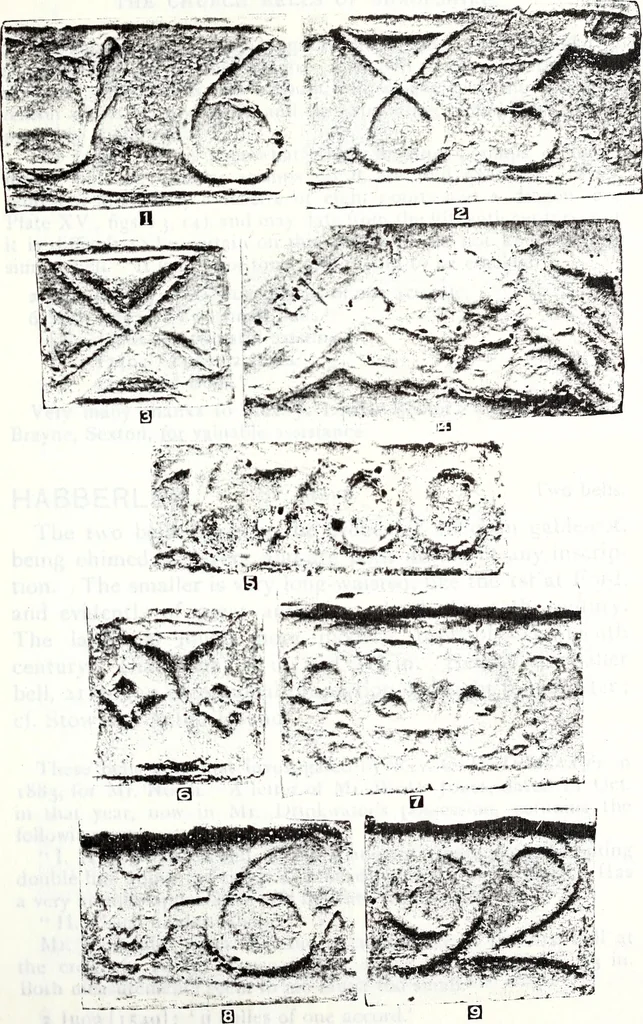 An illustration from Transactions of the Shropshire Archaeological and Natural History Society, 1906, leaf 84