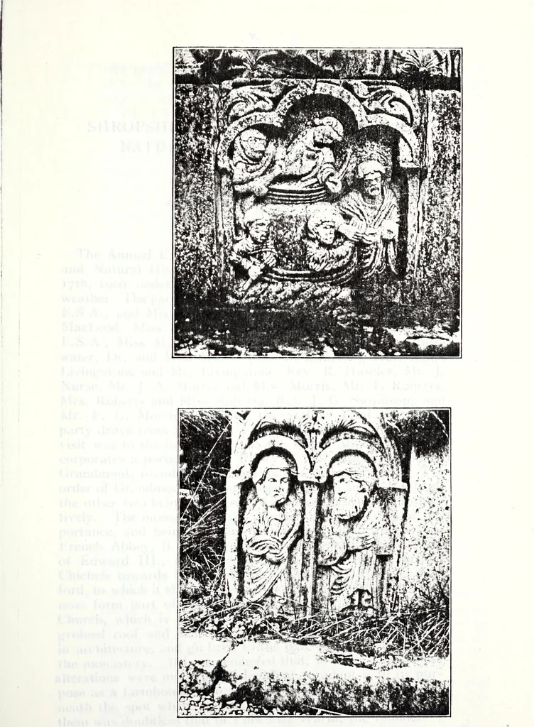 An illustration from Transactions of the Shropshire Archaeological and Natural History Society, 1906, leaf 880