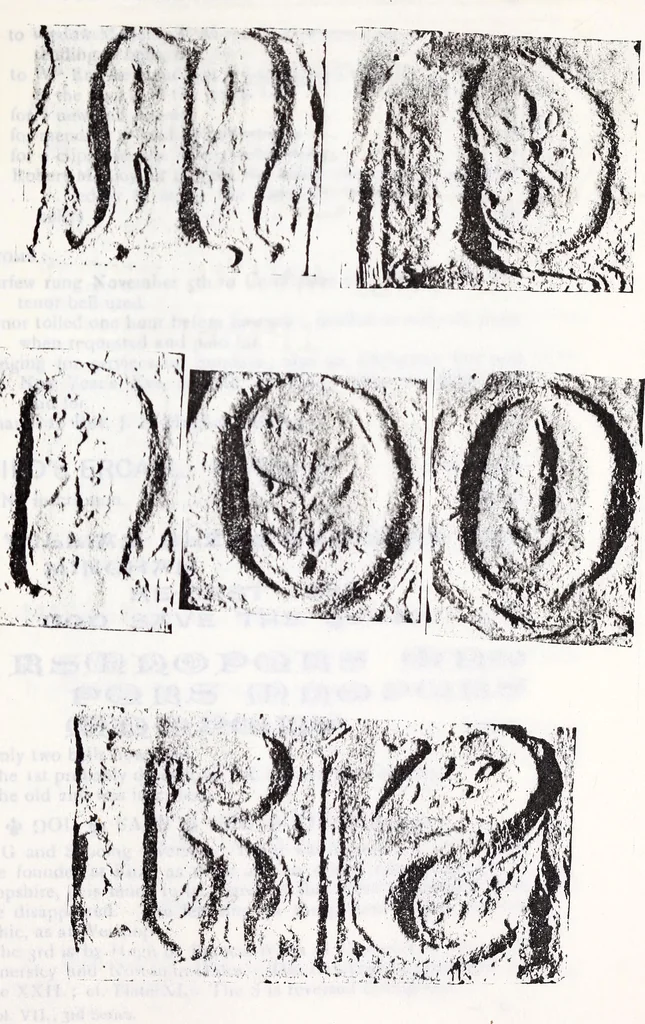 An illustration from Transactions of the Shropshire Archaeological and Natural History Society, 1907, leaf 124